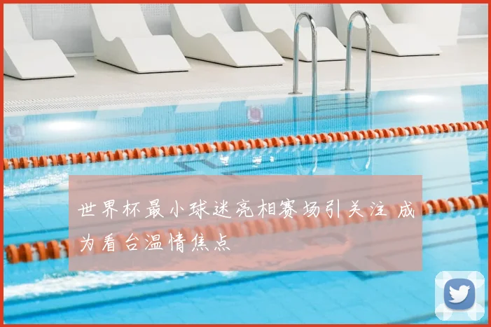 世界杯最小球迷亮相赛场引关注 成为看台温情焦点