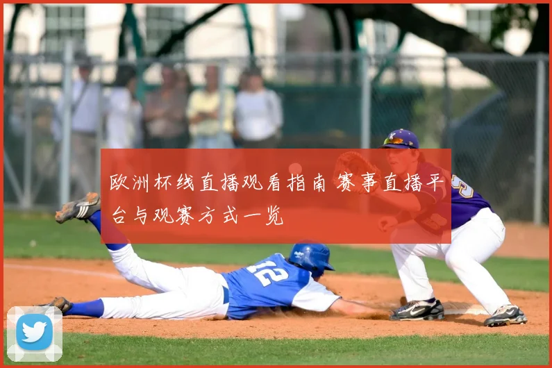 欧洲杯线直播观看指南 赛事直播平台与观赛方式一览