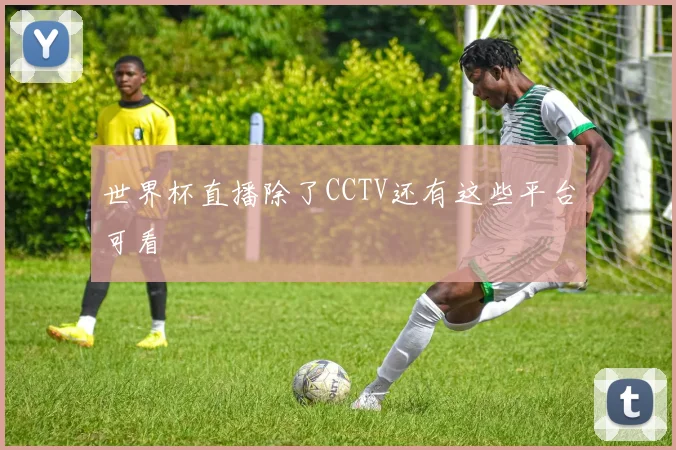世界杯直播除了CCTV还有这些平台可看