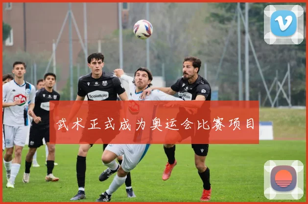 武术正式成为奥运会比赛项目