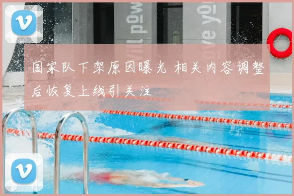 国家队下架原因曝光 相关内容调整后恢复上线引关注