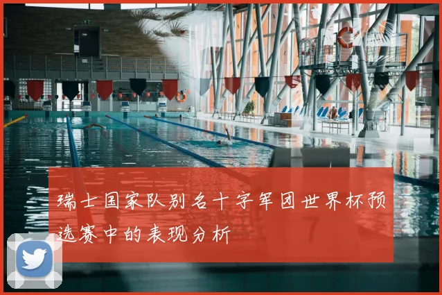 瑞士国家队别名十字军团世界杯预选赛中的表现分析