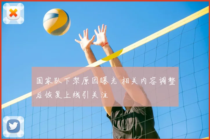 国家队下架原因曝光 相关内容调整后恢复上线引关注